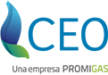 CEO - Compañía energética